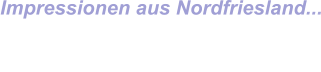 Impressionen aus Nordfriesland...